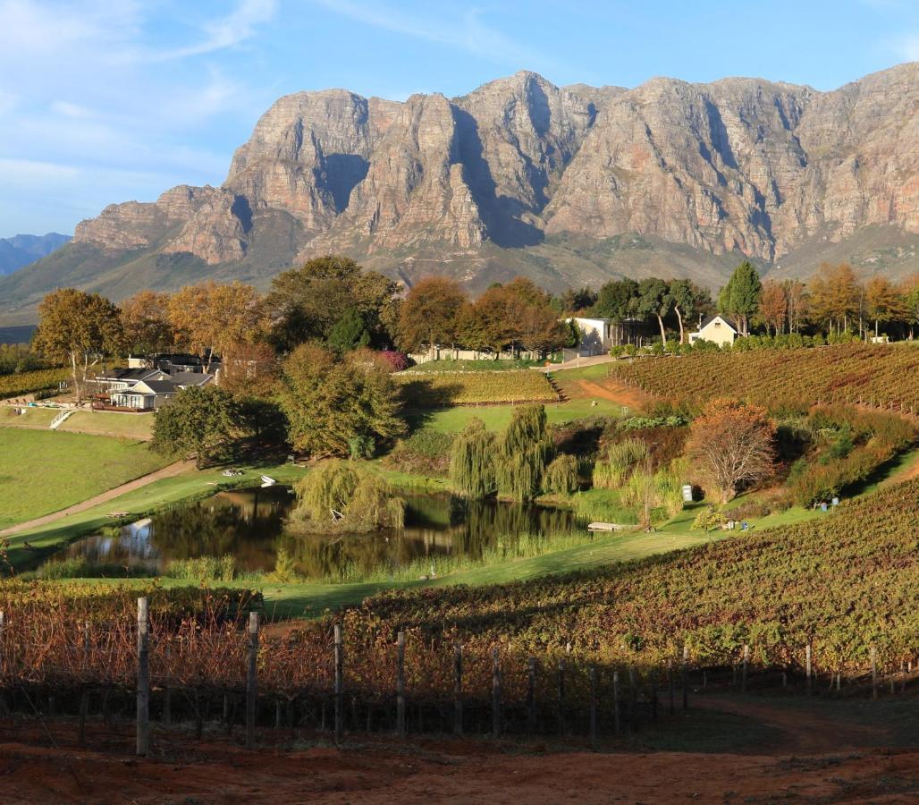 Alluvia Boutique Winery & Luxury Accommodation Stellenbosch Dış mekan fotoğraf The Paarl Mountain Range
