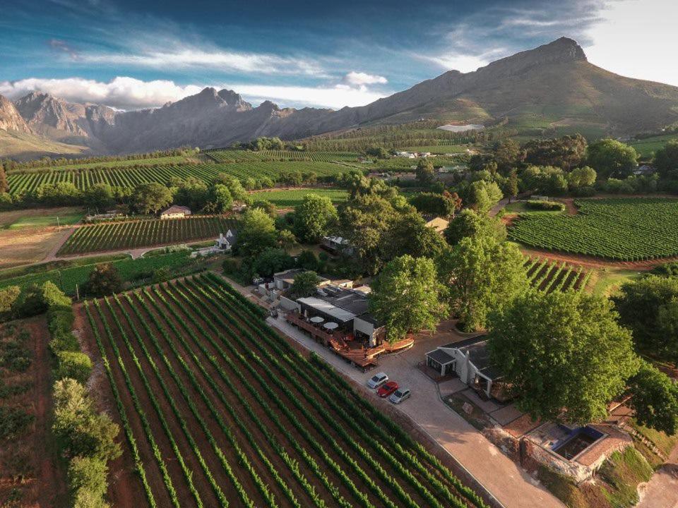Alluvia Boutique Winery & Luxury Accommodation Stellenbosch Dış mekan fotoğraf Aerial view of the winery