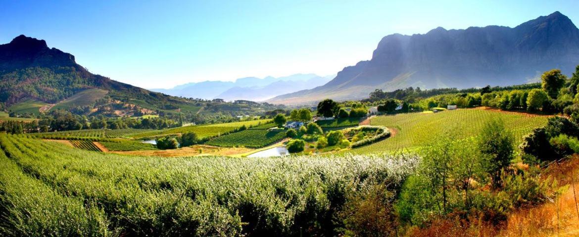 Alluvia Boutique Winery & Luxury Accommodation Stellenbosch Dış mekan fotoğraf The Paarl Wine Route