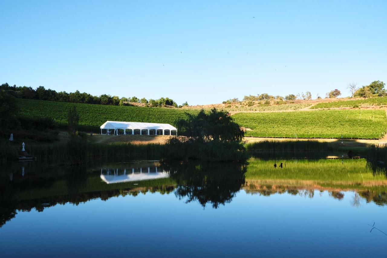 Alluvia Boutique Winery & Luxury Accommodation Stellenbosch Dış mekan fotoğraf The vineyard at the winery