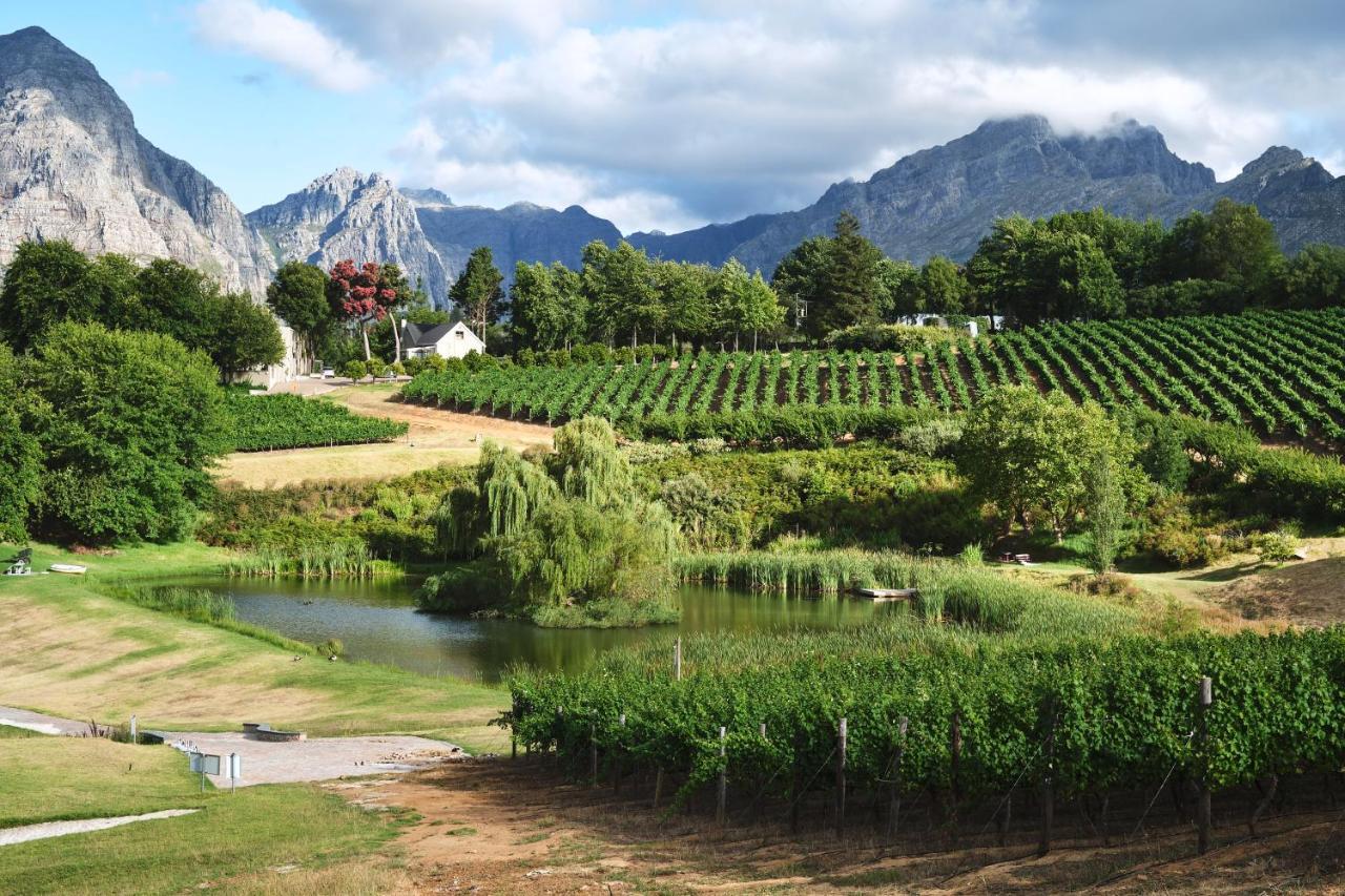 Alluvia Boutique Winery & Luxury Accommodation Stellenbosch Dış mekan fotoğraf Wine estate in Stellenbosch