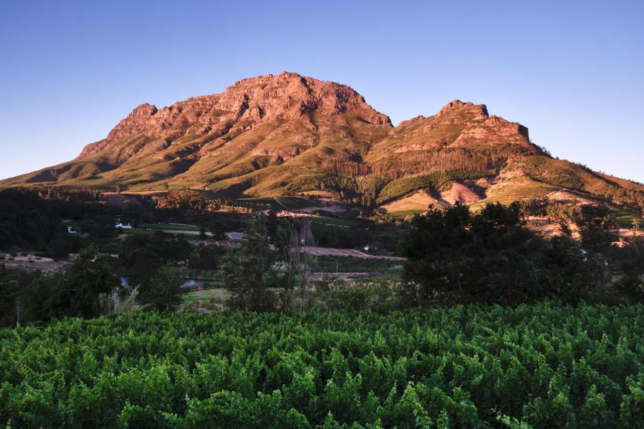 Alluvia Boutique Winery & Luxury Accommodation Stellenbosch Dış mekan fotoğraf The Paarl Mountain