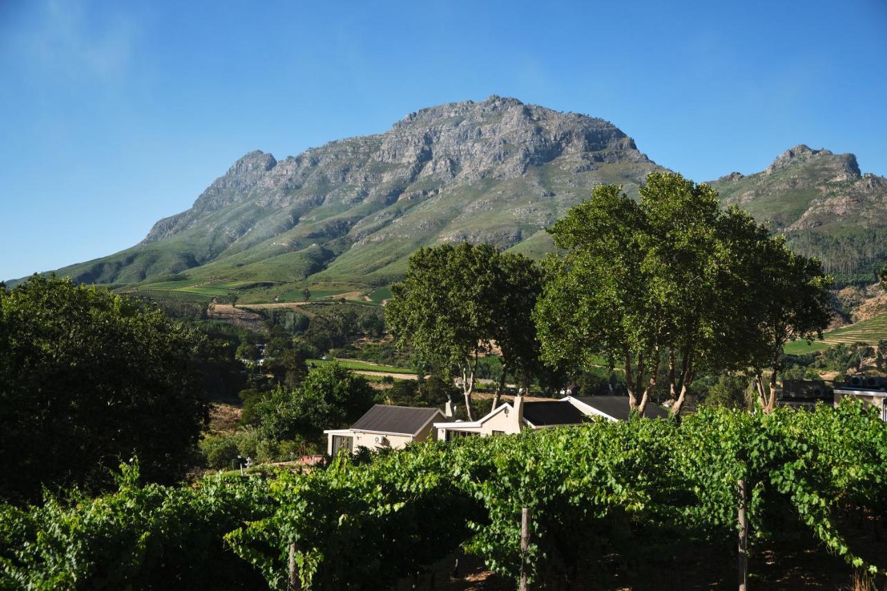 Alluvia Boutique Winery & Luxury Accommodation Stellenbosch Dış mekan fotoğraf Wine estate in Stellenbosch