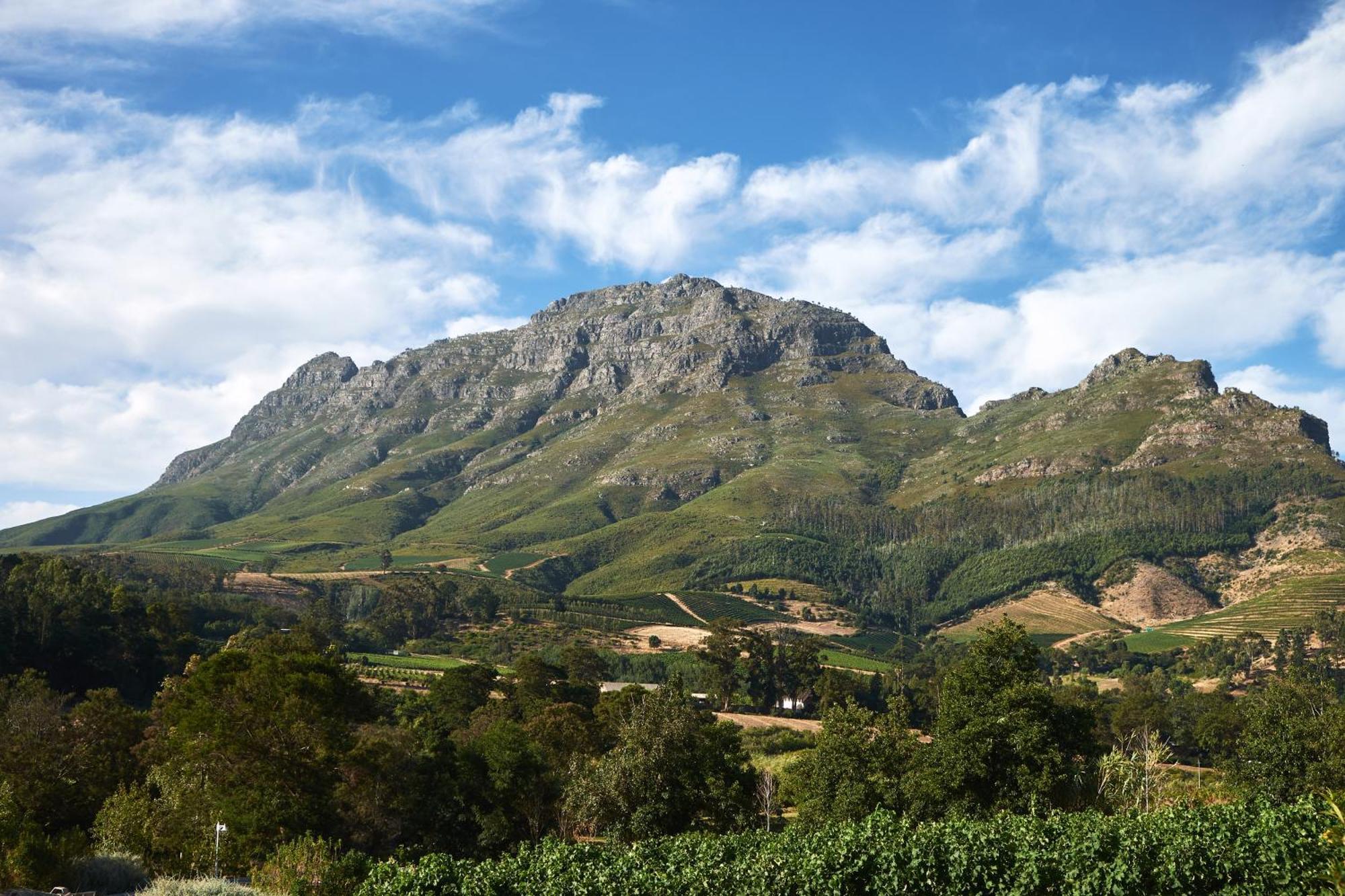 Alluvia Boutique Winery & Luxury Accommodation Stellenbosch Oda fotoğraf The Helderberg